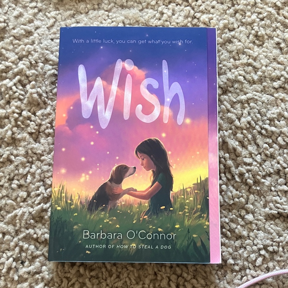 Wish Book by Barbara O'Connor